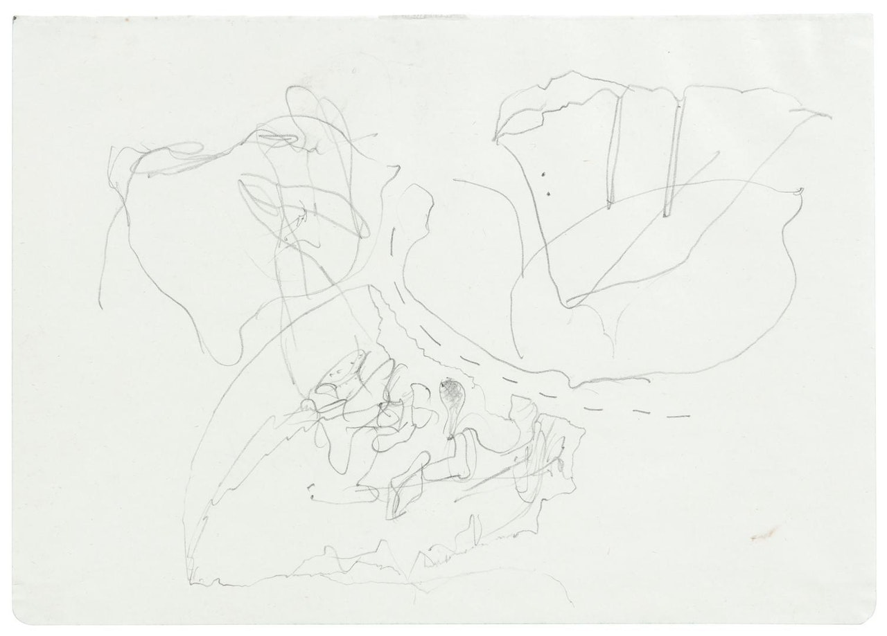 Untitled (Landschaft) (Landscape) by Joseph Beuys