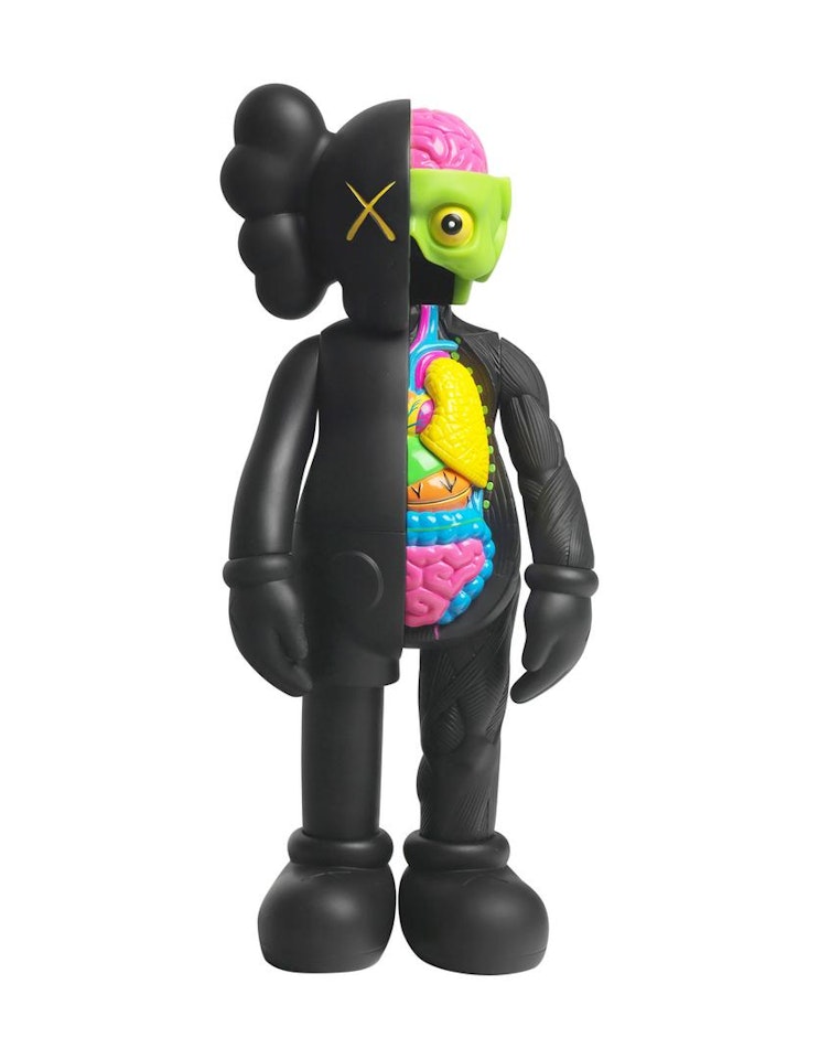 Dissected Companion (Black) by Kaws