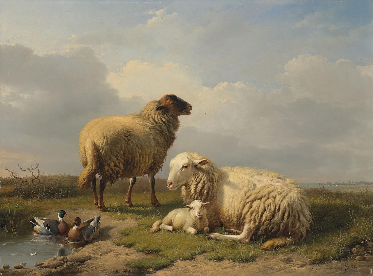 Sheep, Lamb and Ducks by a pond by Eugène Joseph Verboeckhoven