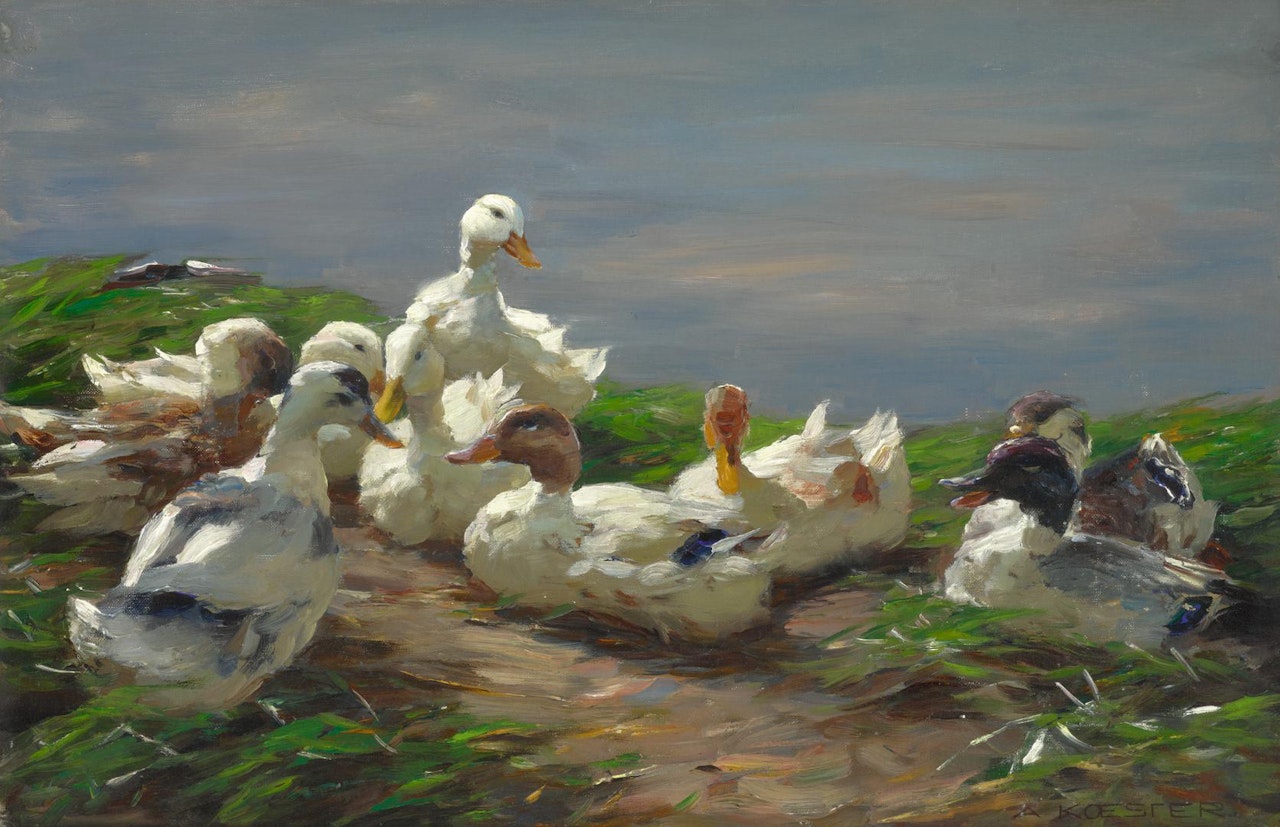 Nine Ducks on a Pond by Alexander Koester