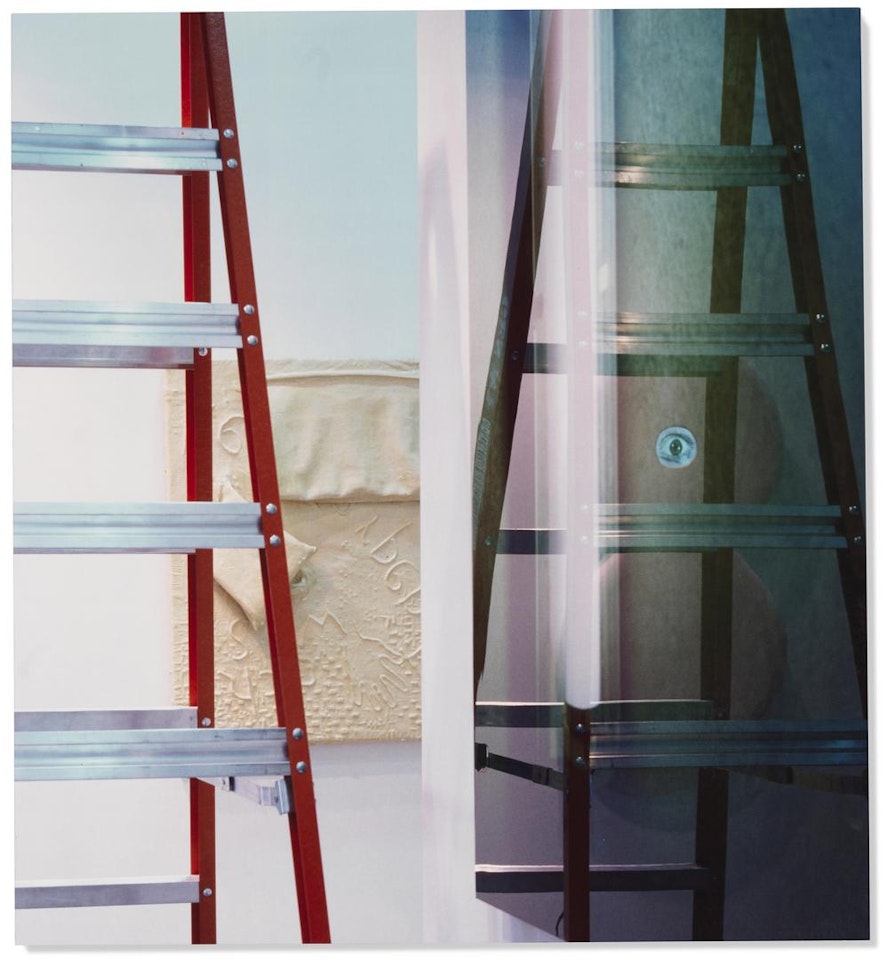 Looks Like...a Painting by Louise Lawler