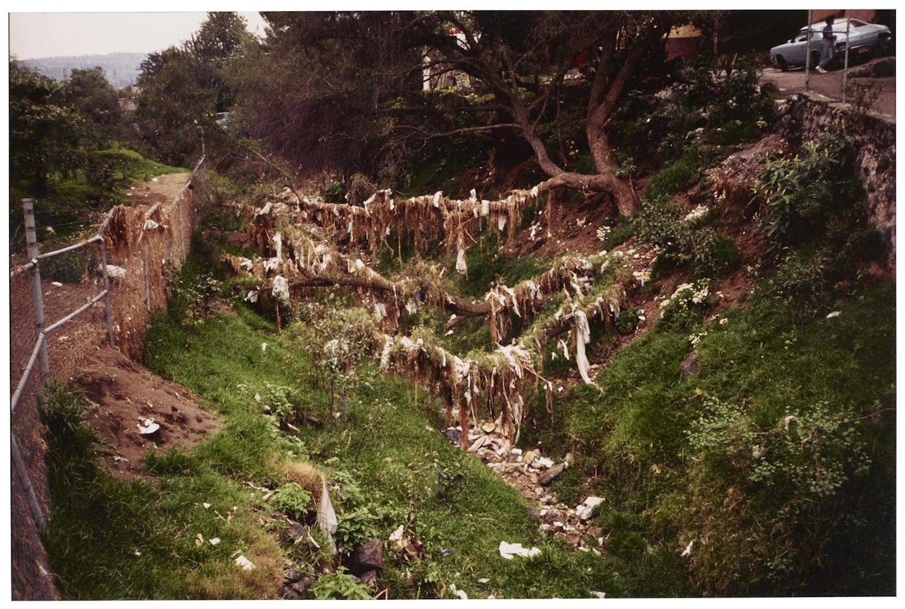 Rio de Basura by Gabriel Orozco