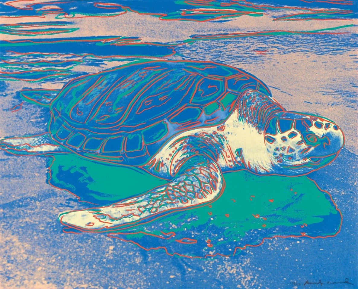 Turtle by Andy Warhol