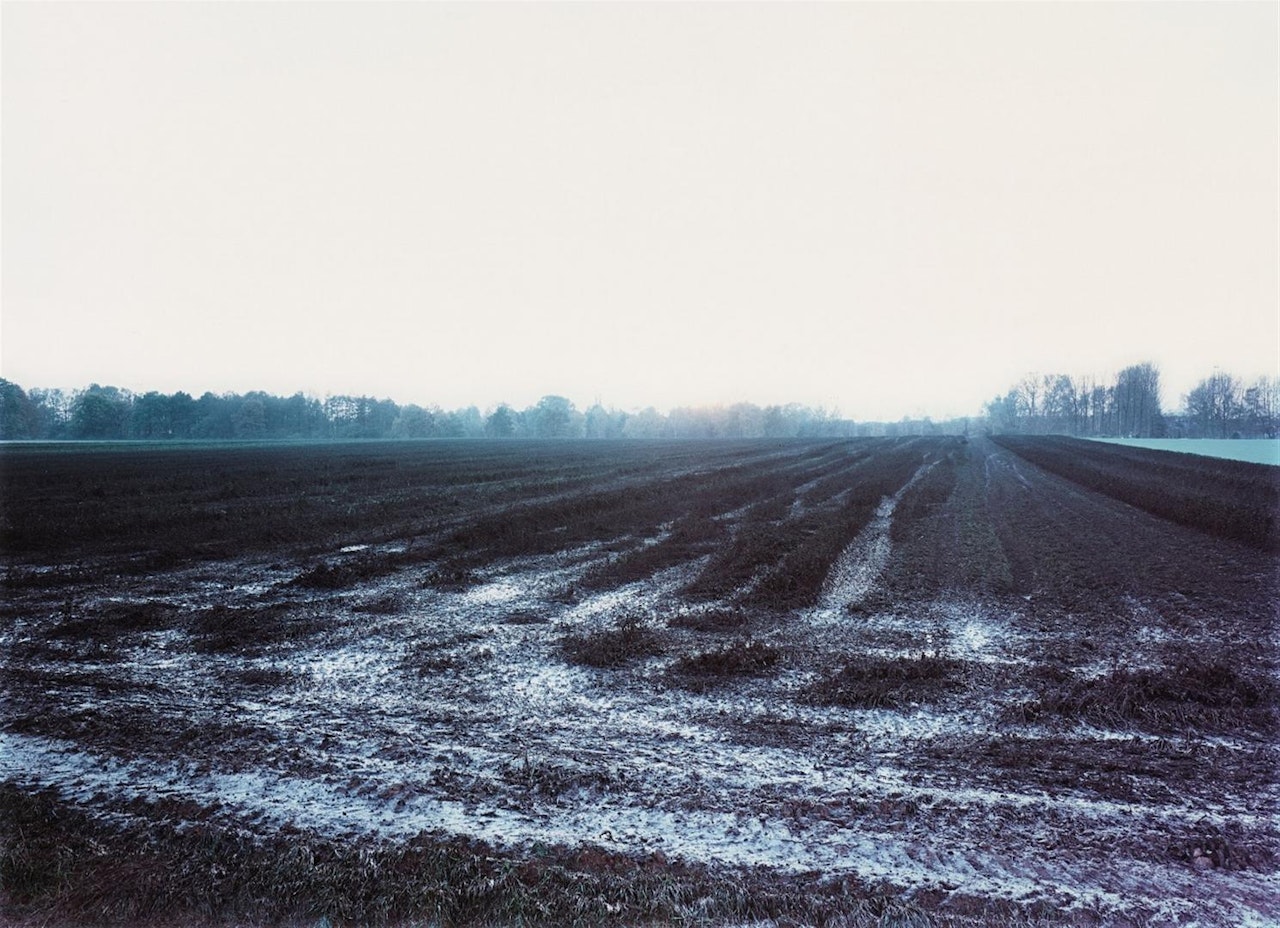 Meerbusch by Andreas Gursky