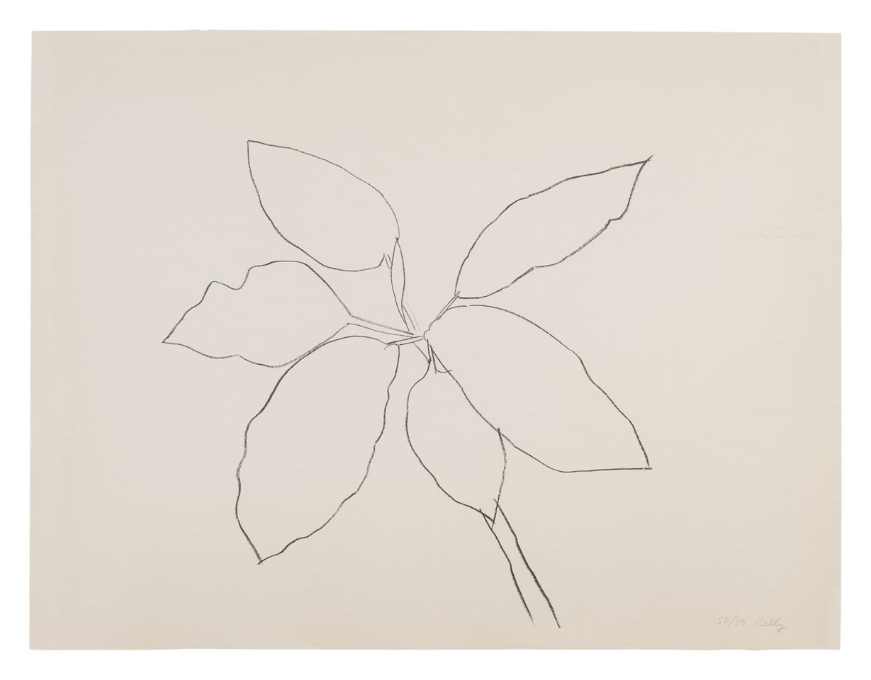 ST. MARTIN TROPICAL PLANT (AXSOM 192) by Ellsworth Kelly