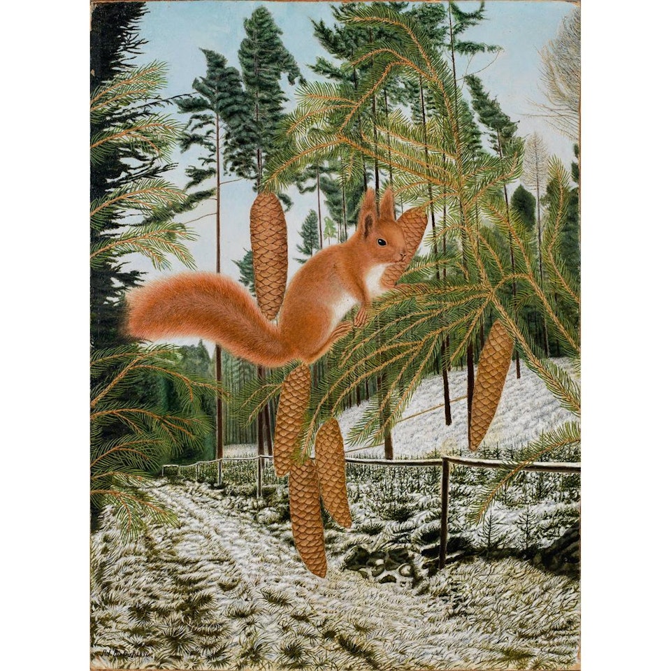 Eichhörnchen auf Tannenast im Winter by Adolf Dietrich