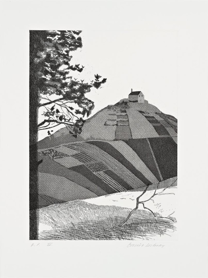 "A Wooded Landscape" from "Six Fairy Tales from the Brother's Grimm" by David Hockney
