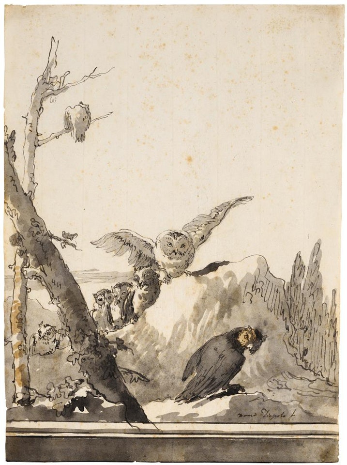 OWLS ON A ROCKY PERCH by Giovanni Domenico Tiepolo