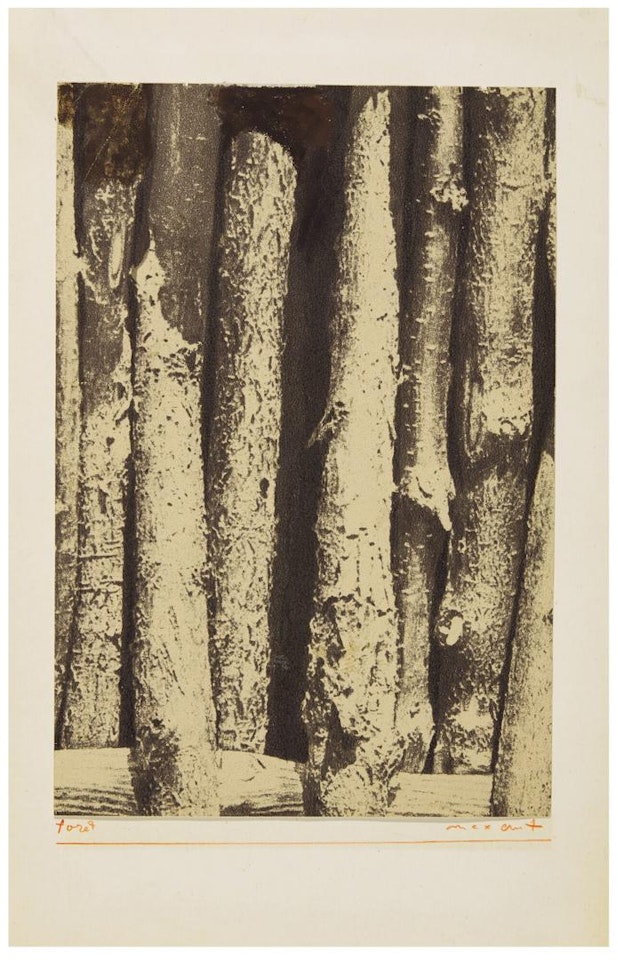 FORÊT by Max Ernst