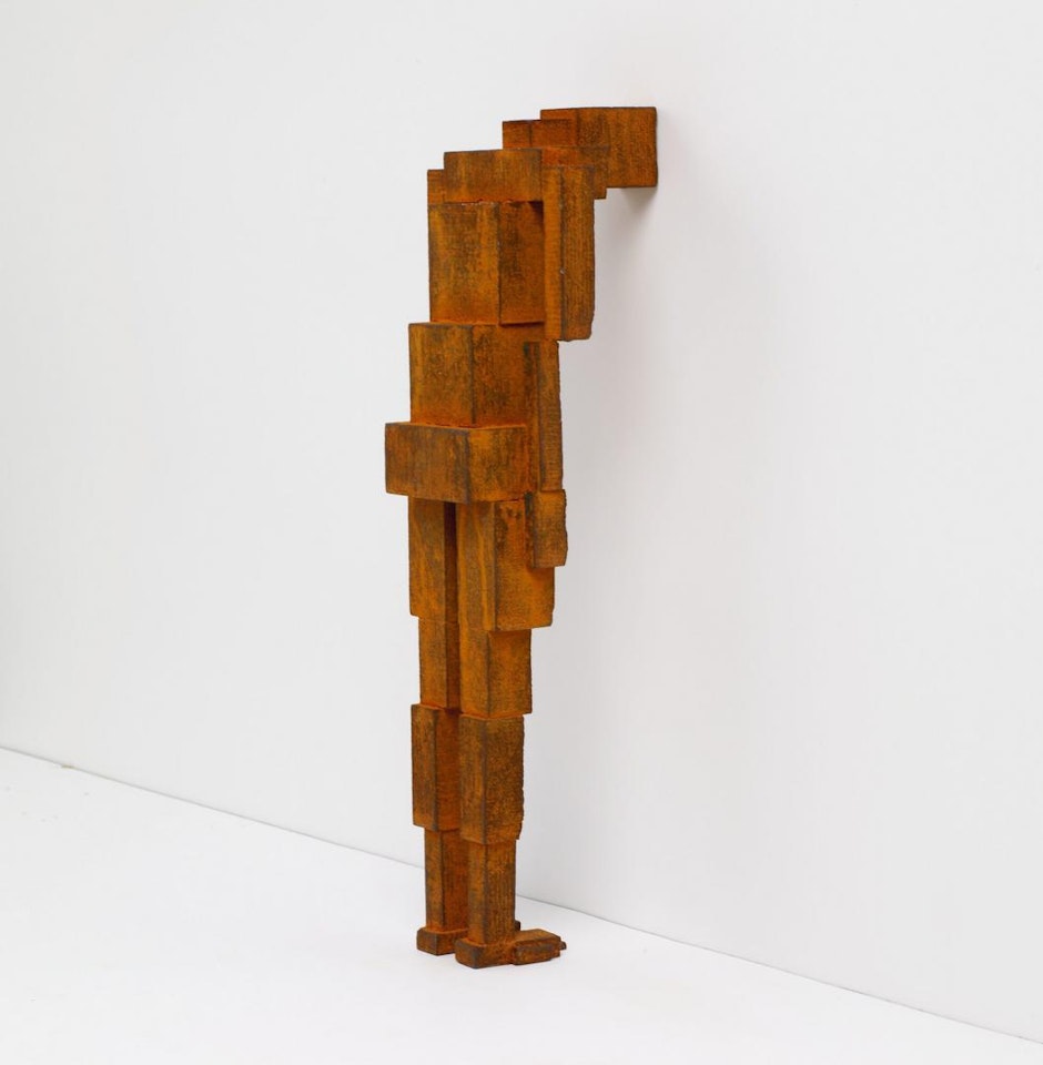 MEME CLI by Antony Gormley