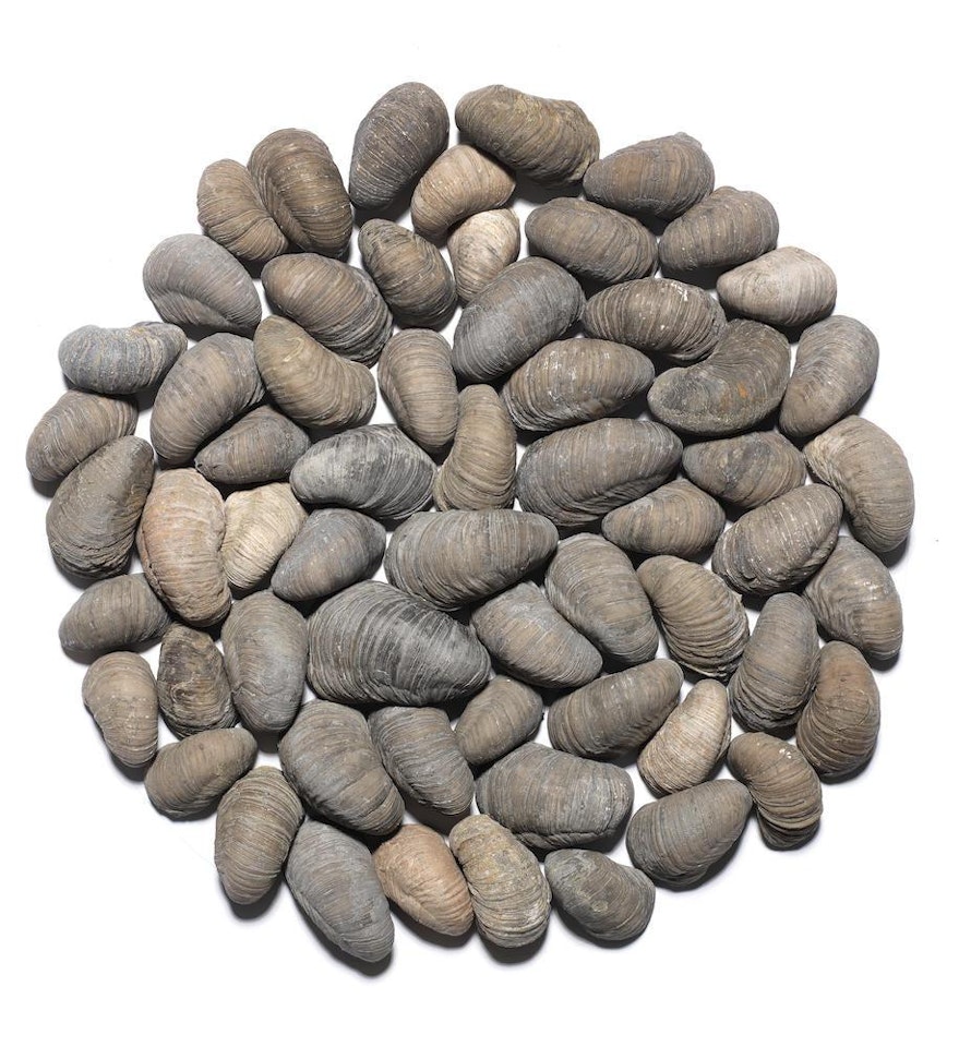 Small Hock Cliff Circle by Richard Long