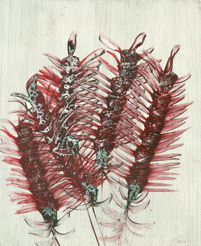 Bottlebrush (Paradise Garden) by Sidney Nolan