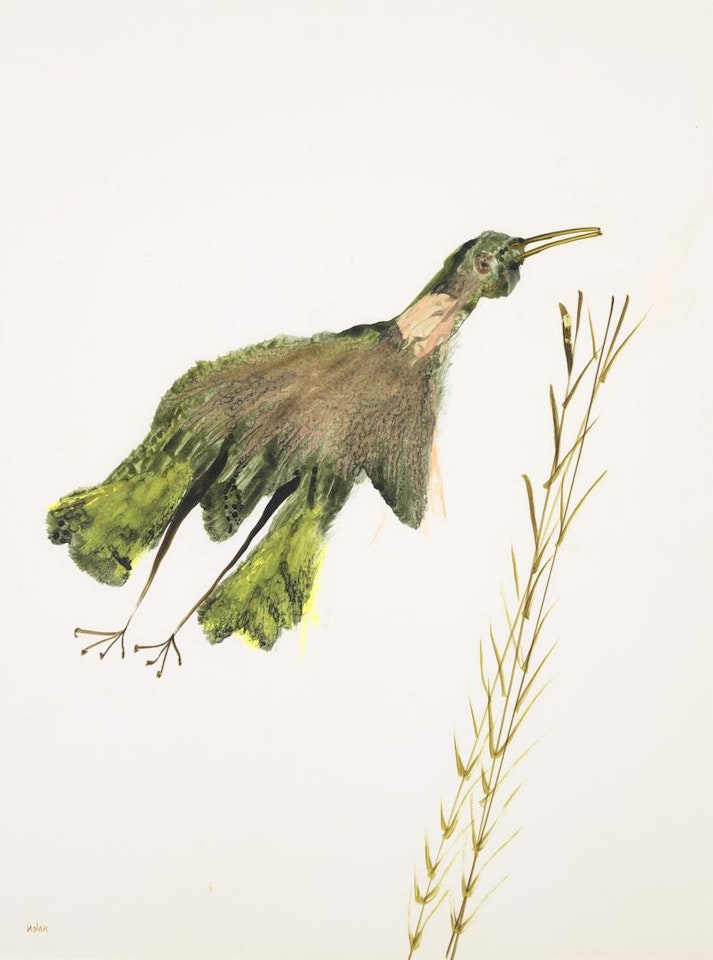 Bird by Sidney Nolan