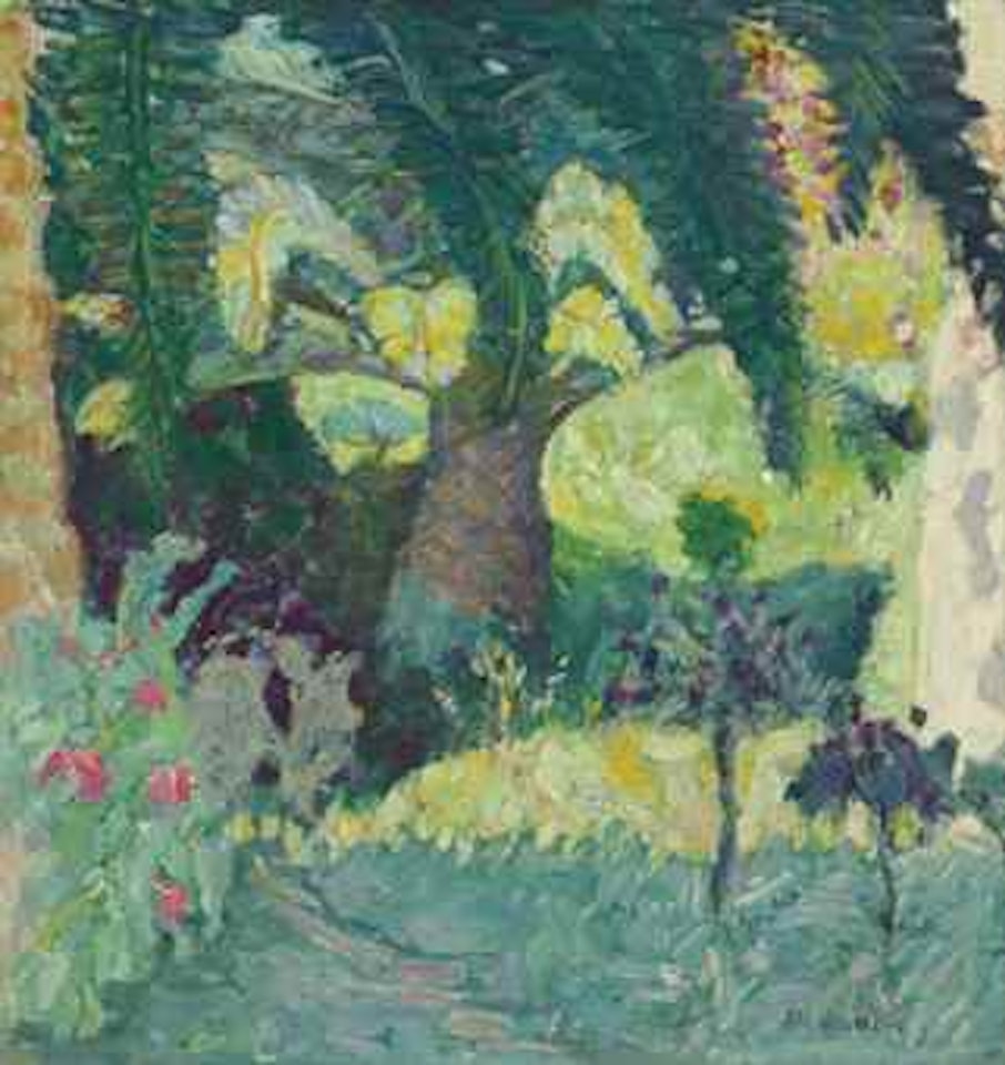 Palmier rose au Cannet by Pierre Bonnard