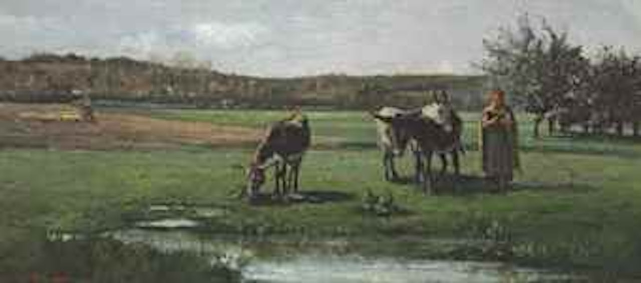 Anes au pâturage by Camille Pissarro