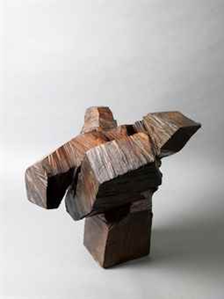TAICHI SERIES by Ju Ming