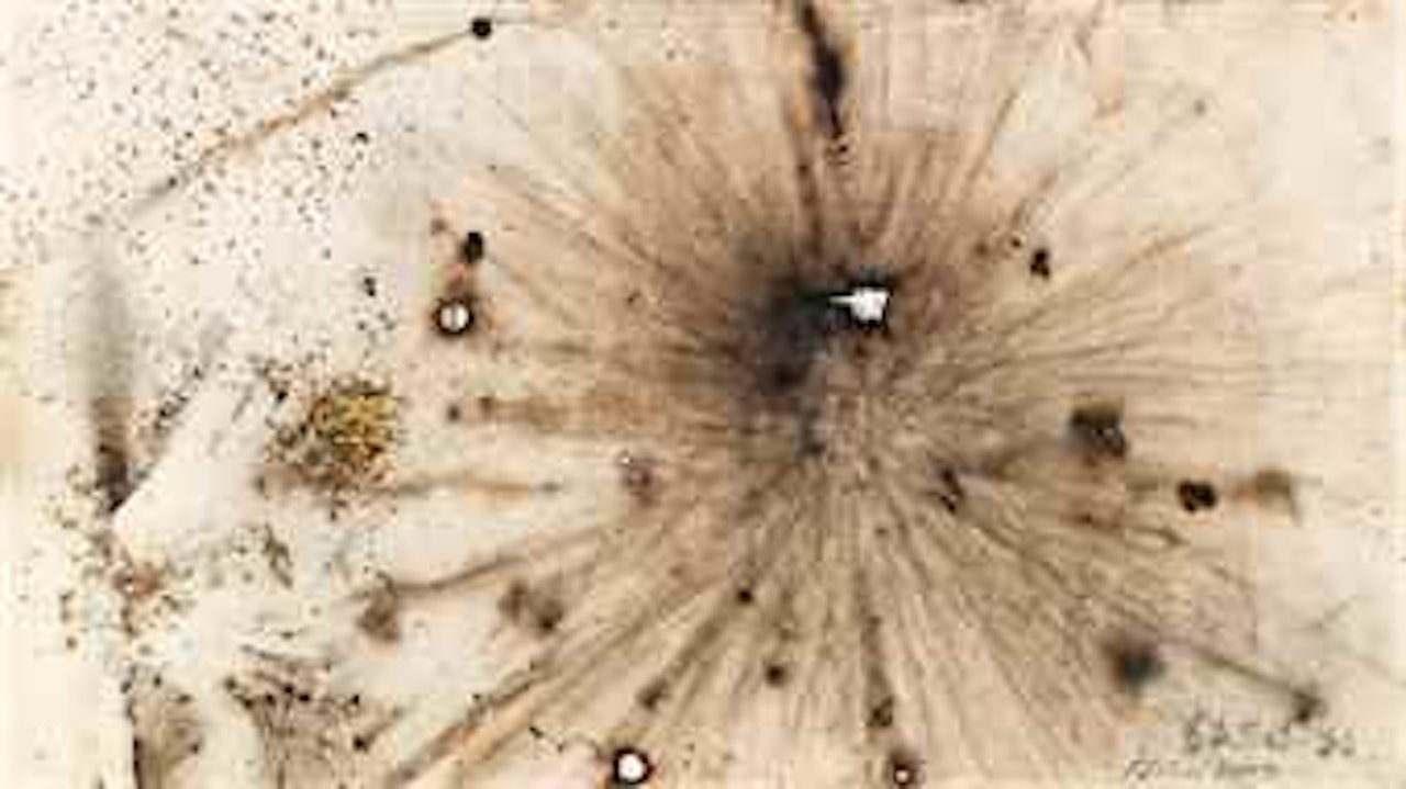 Day and Night: Lily by Cai Guo-Qiang