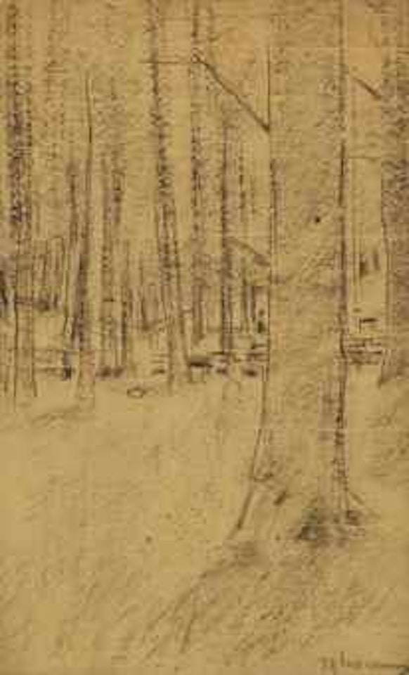 Buchenwald bei Kösen, study for 'Gedächtnisfeier für Kaiser Friedrich III in Kösen' by Max Liebermann