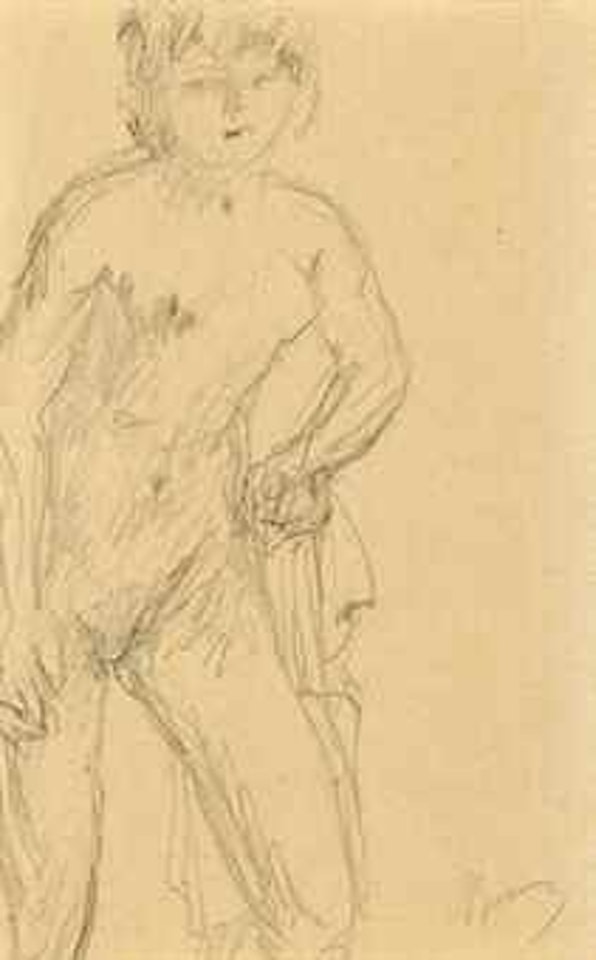 Nu à sa toilette by Pierre Bonnard