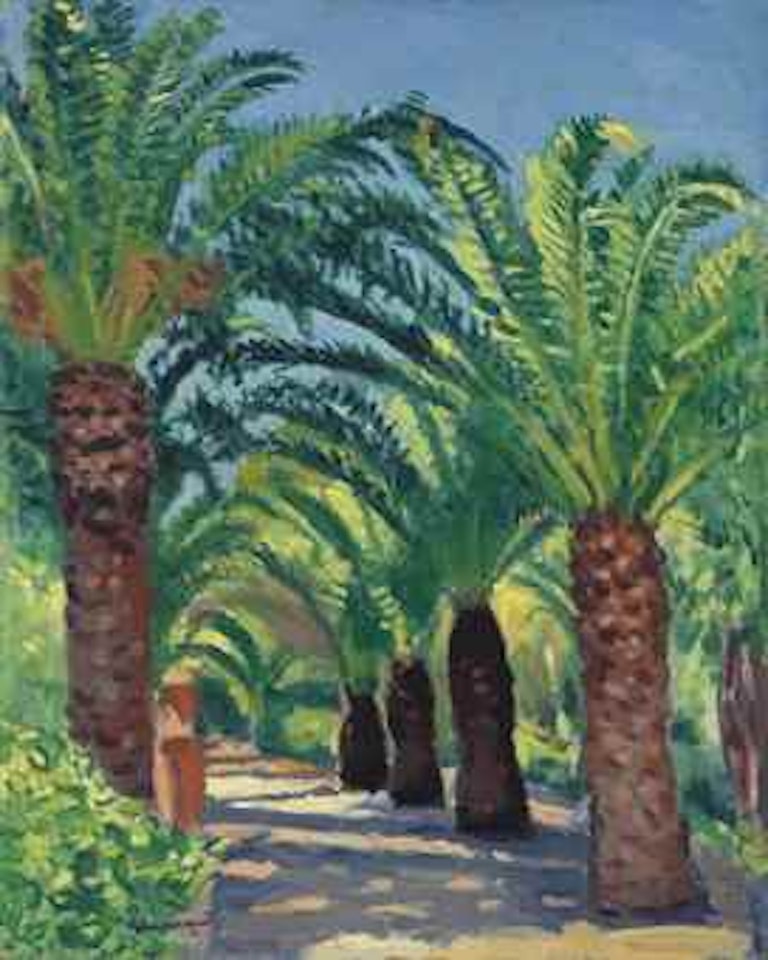 Les palmiers à Porquerolles by Albert Marquet