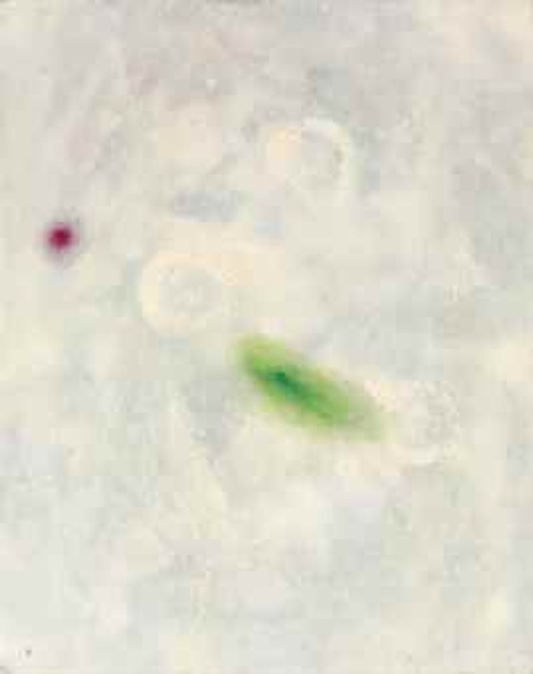 Painting IV/V by Joan Miró