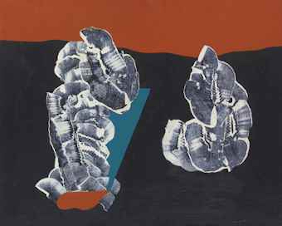 Fleurs coquillages sur fond marin by Max Ernst