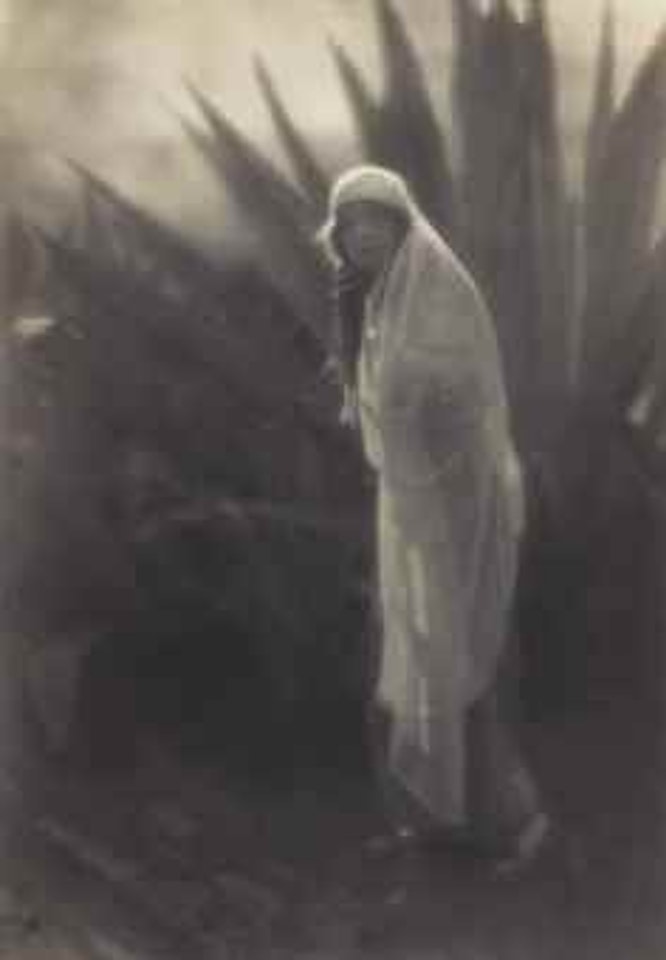 Maud Allan with Century Plant, 1916 by Edward Weston