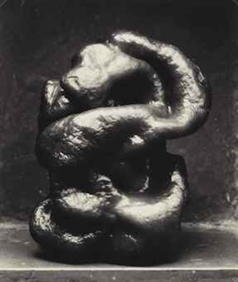 Pepper, 1929 by Edward Weston