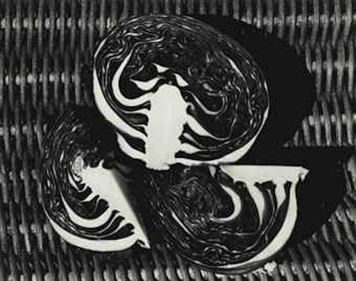 Purple Cabbage, 1/2 and 2/4s, 1936 by Edward Weston