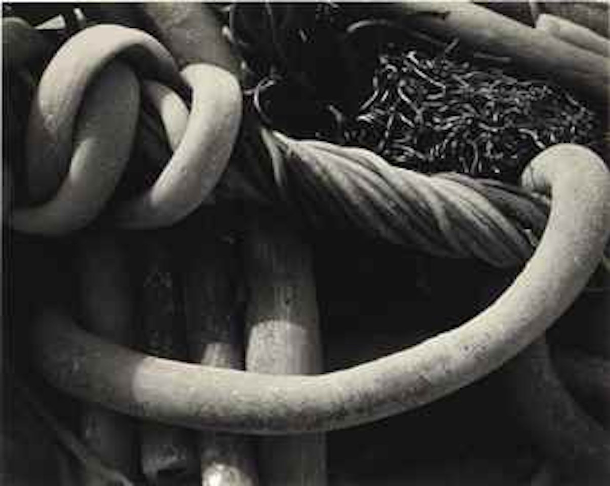Kelp, Monterey Coast, 1930 by Edward Weston