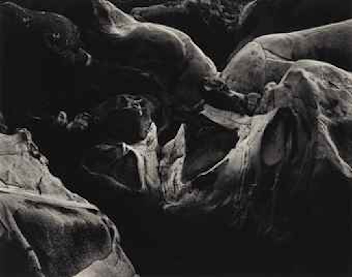 Rock, Point Lobos, 1938 by Edward Weston