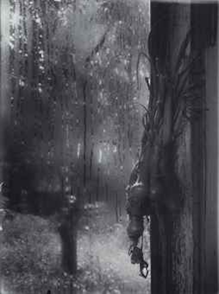 From the Series 'The Window Of My Studio', 1940-1954 by Josef Sudek