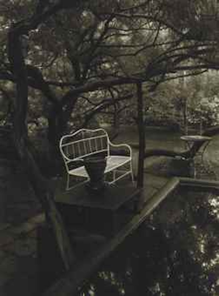 From the Series 'In the Magic Garden', 1950s by Josef Sudek