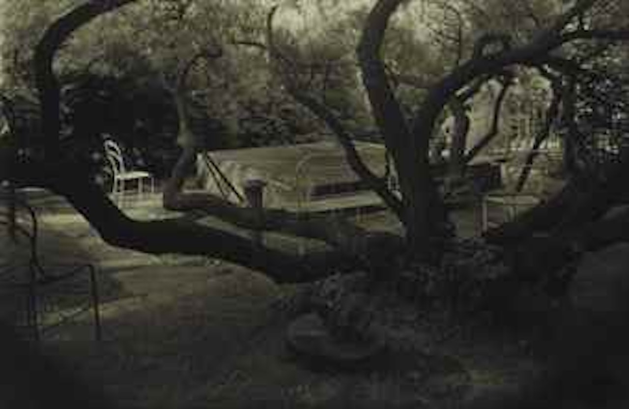 From the Series 'In the Magic Garden', 1950s by Josef Sudek