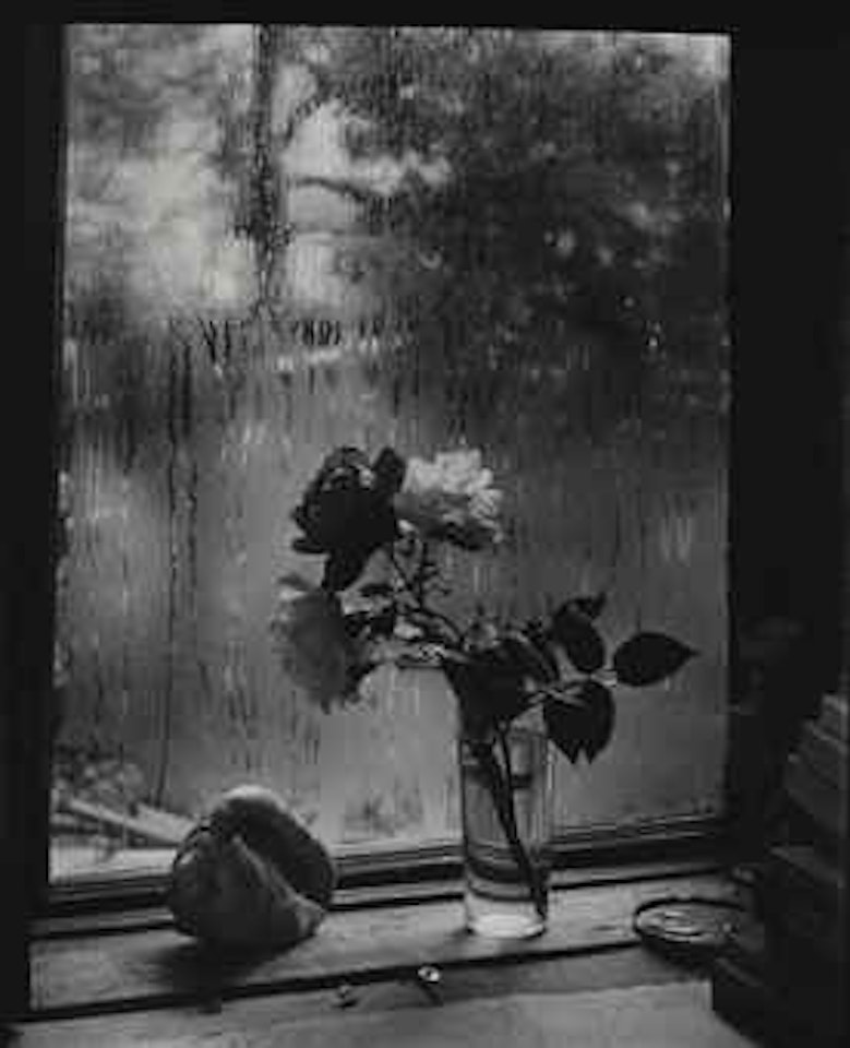 Last Roses from the series 'The Window of My Studio', 1956 by Josef Sudek
