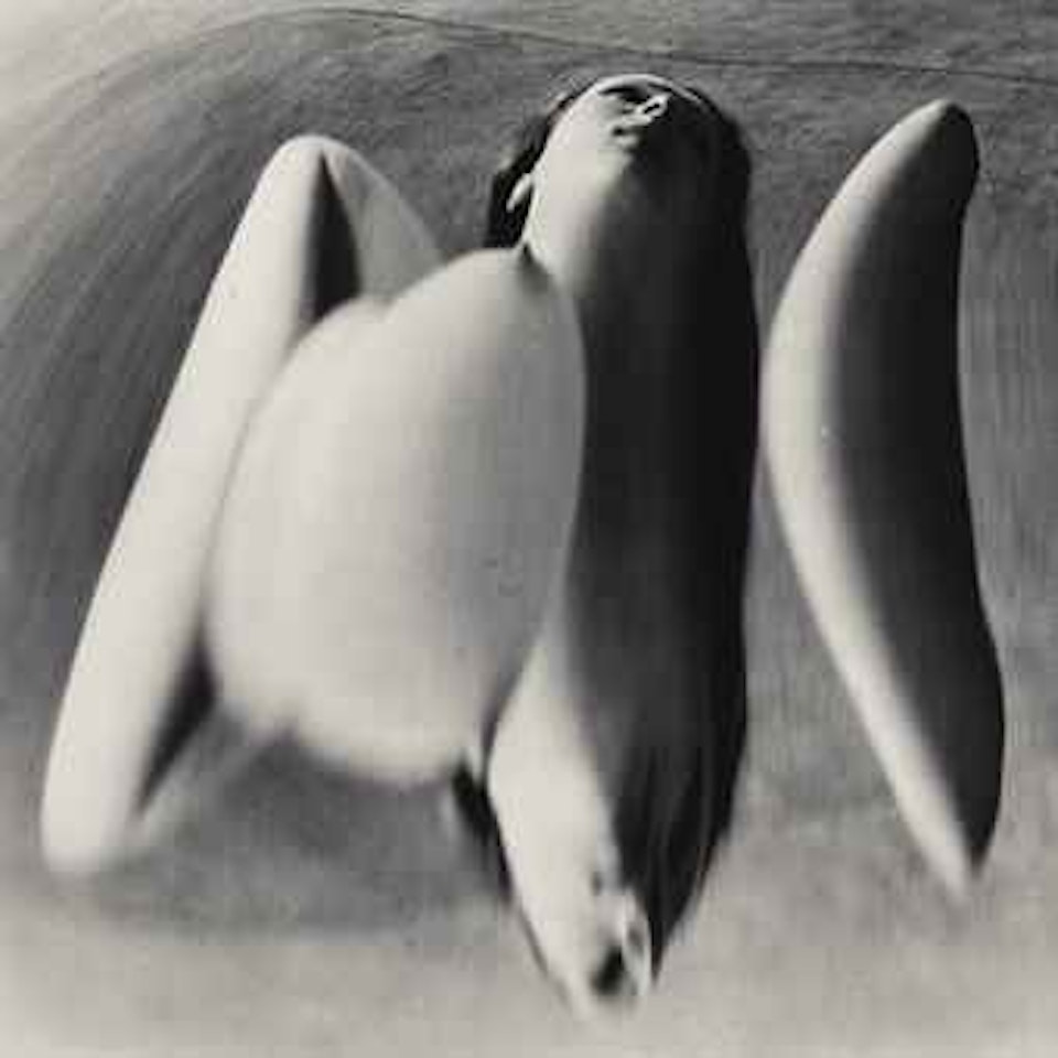 Distortion #76C, 1933 by André Kertész