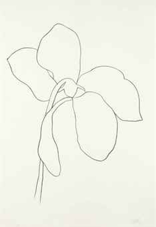 Cyclamen III, from Suite of Plant Lithographs by Ellsworth Kelly