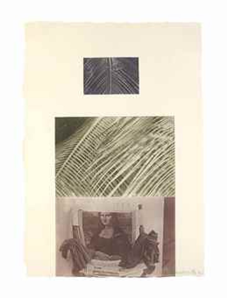 Etching V, from The Razorback Bunch by Robert Rauschenberg