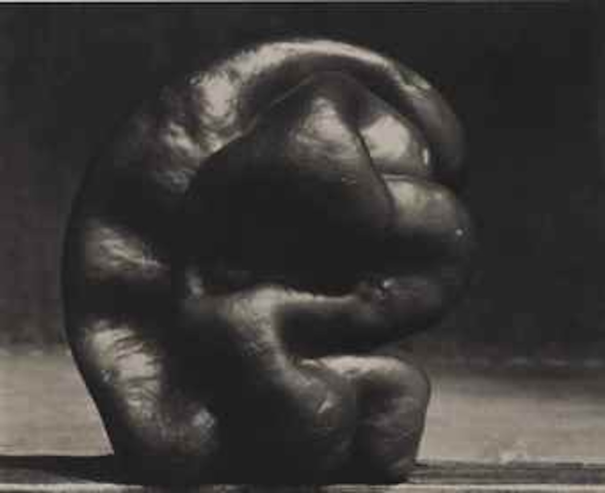 Pepper, 1929 by Edward Weston