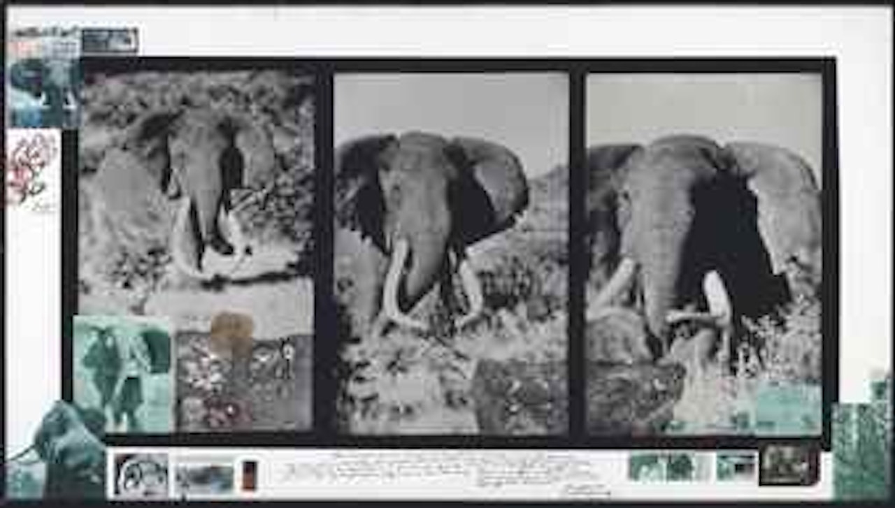 Ahmed Triptych, 1962 by Peter Beard