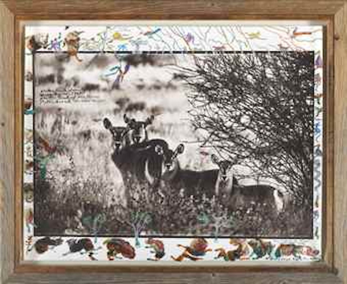 Waterbuck Family, 1968 by Peter Beard