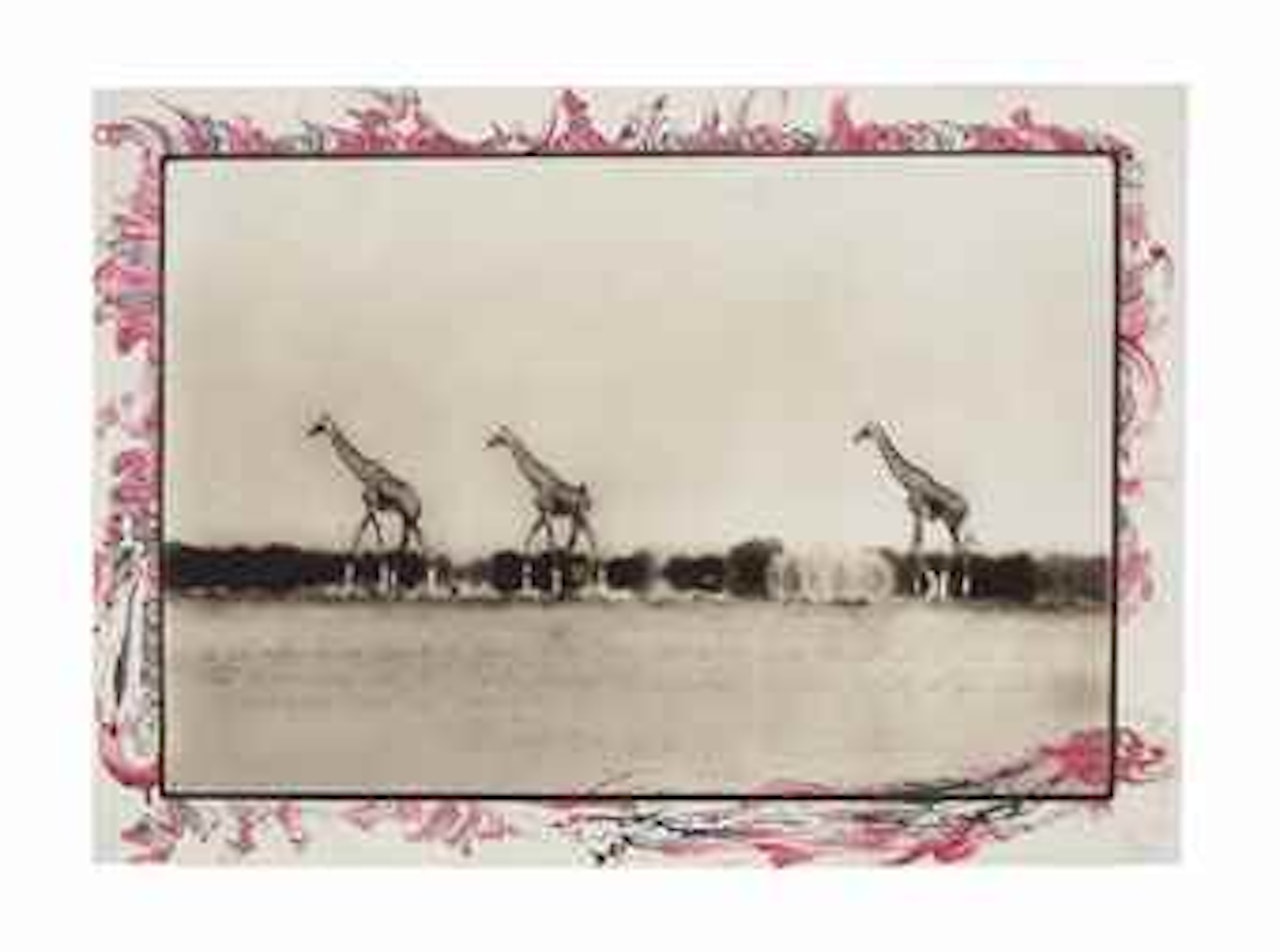 Giraffes in Mirage on the Taru Dessert, Kenya, June 1960 by Peter Beard
