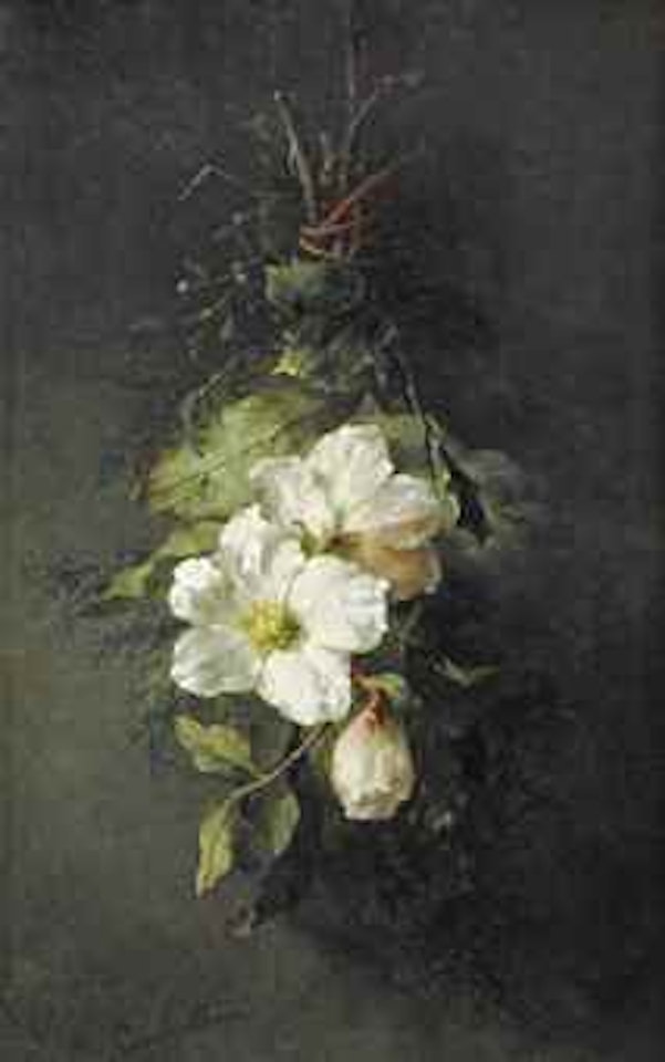 A swag of wild white roses by Margaretha Roosenboom