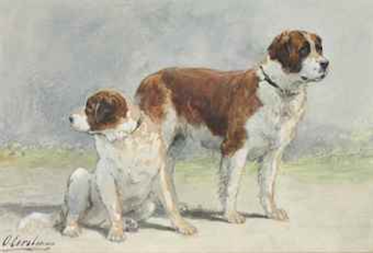 Two Saint Bernard dogs by Otto Eerelman