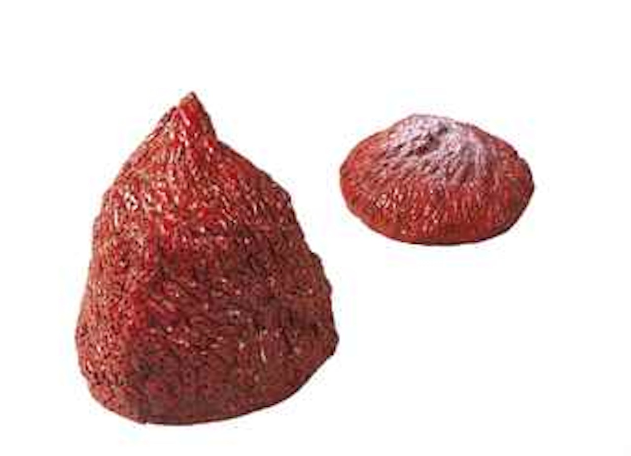 Strawberry ; & Strawberry 2 by Yayoi Kusama