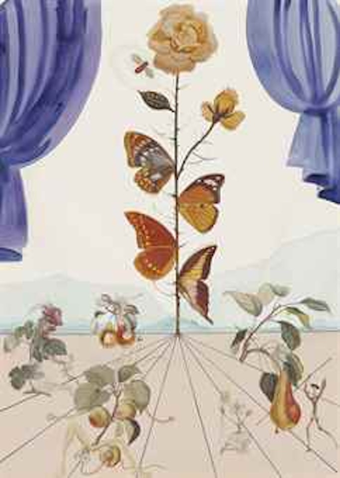 Flordali II by Salvador Dali