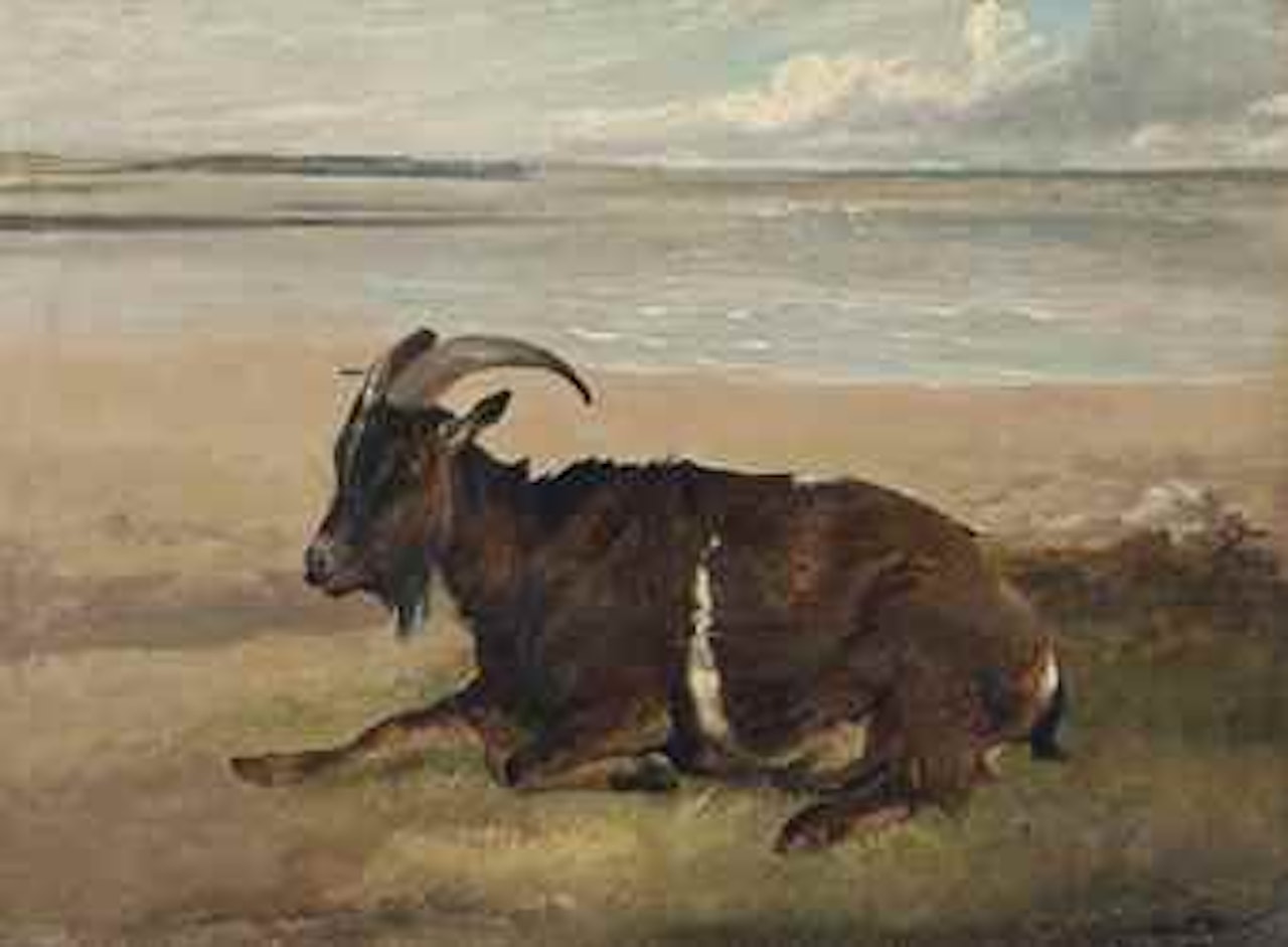 A goat by the shore, Margate by Thomas Sidney Cooper