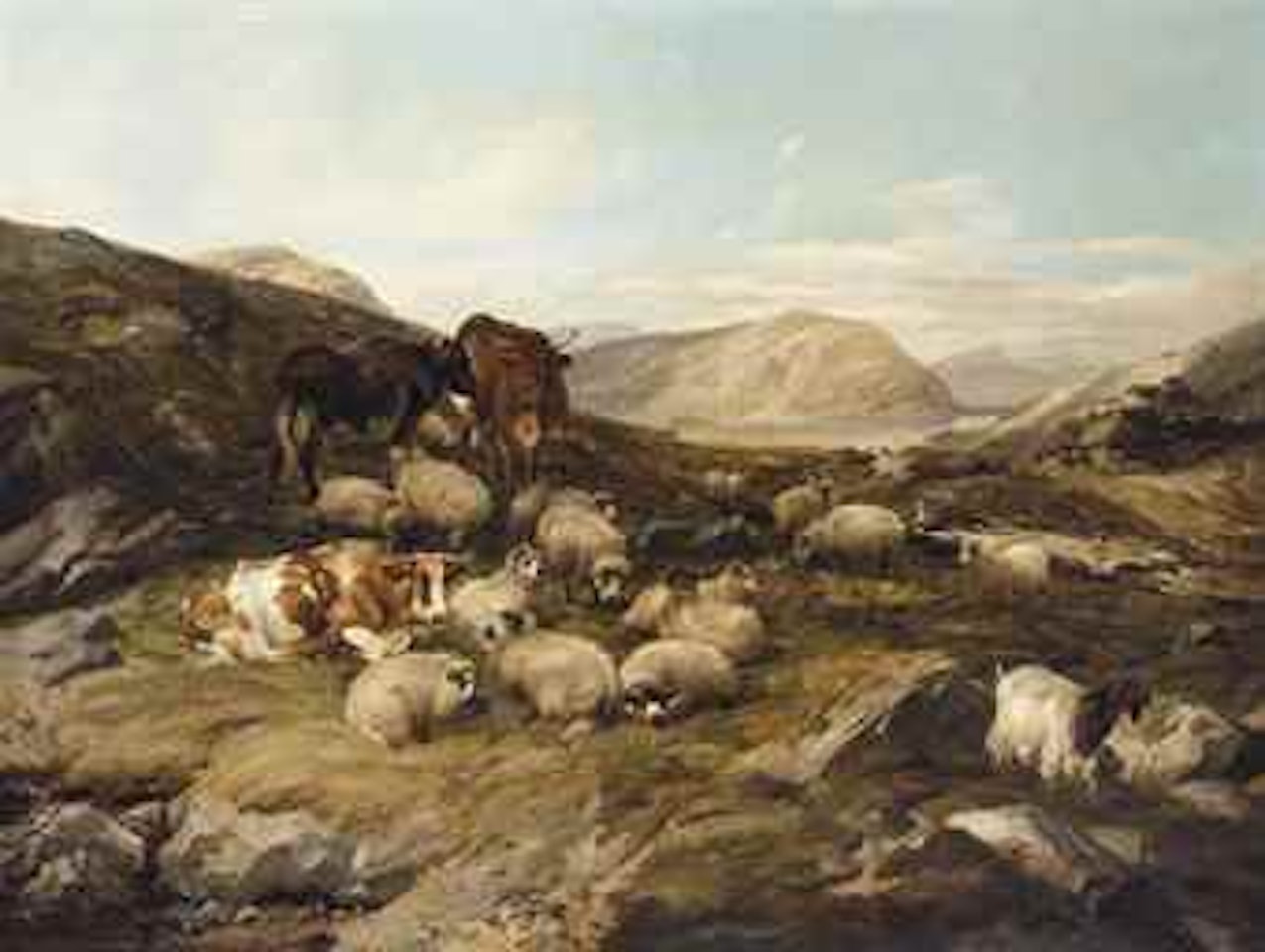 Sheep and cattle in a Highland landscape by Thomas Sidney Cooper