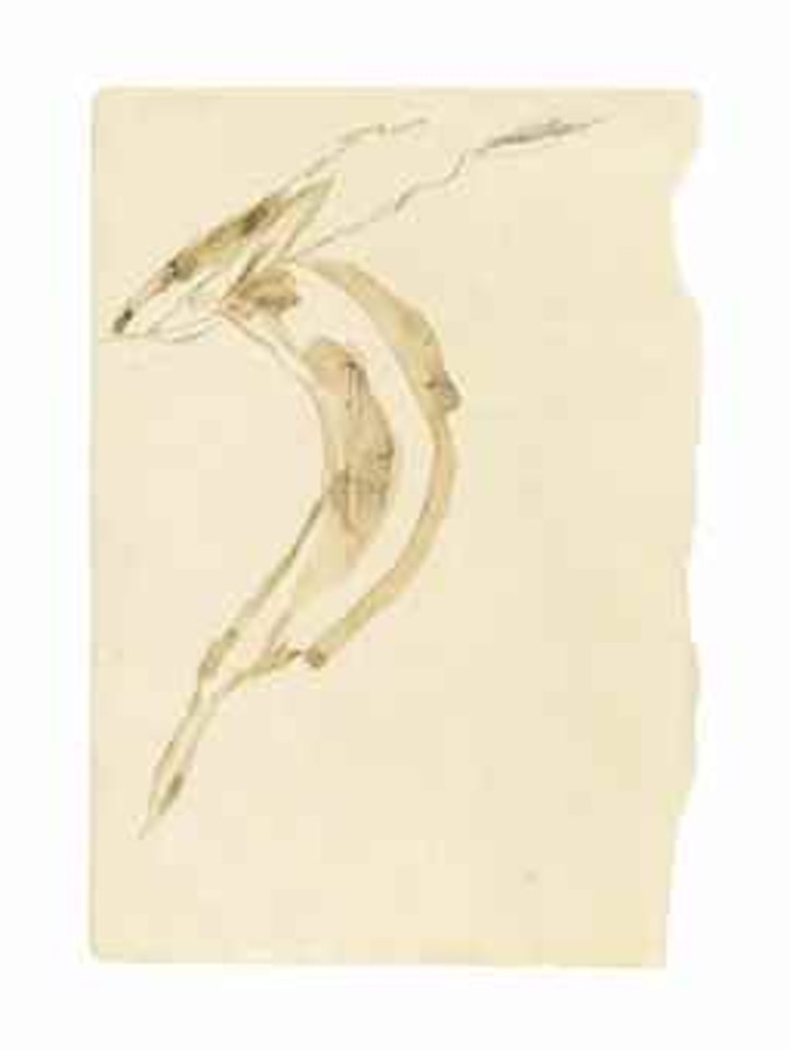 Angstsprung des elektrisierten Fuchses (The Electrified Fox Jumping of Fear) by Joseph Beuys