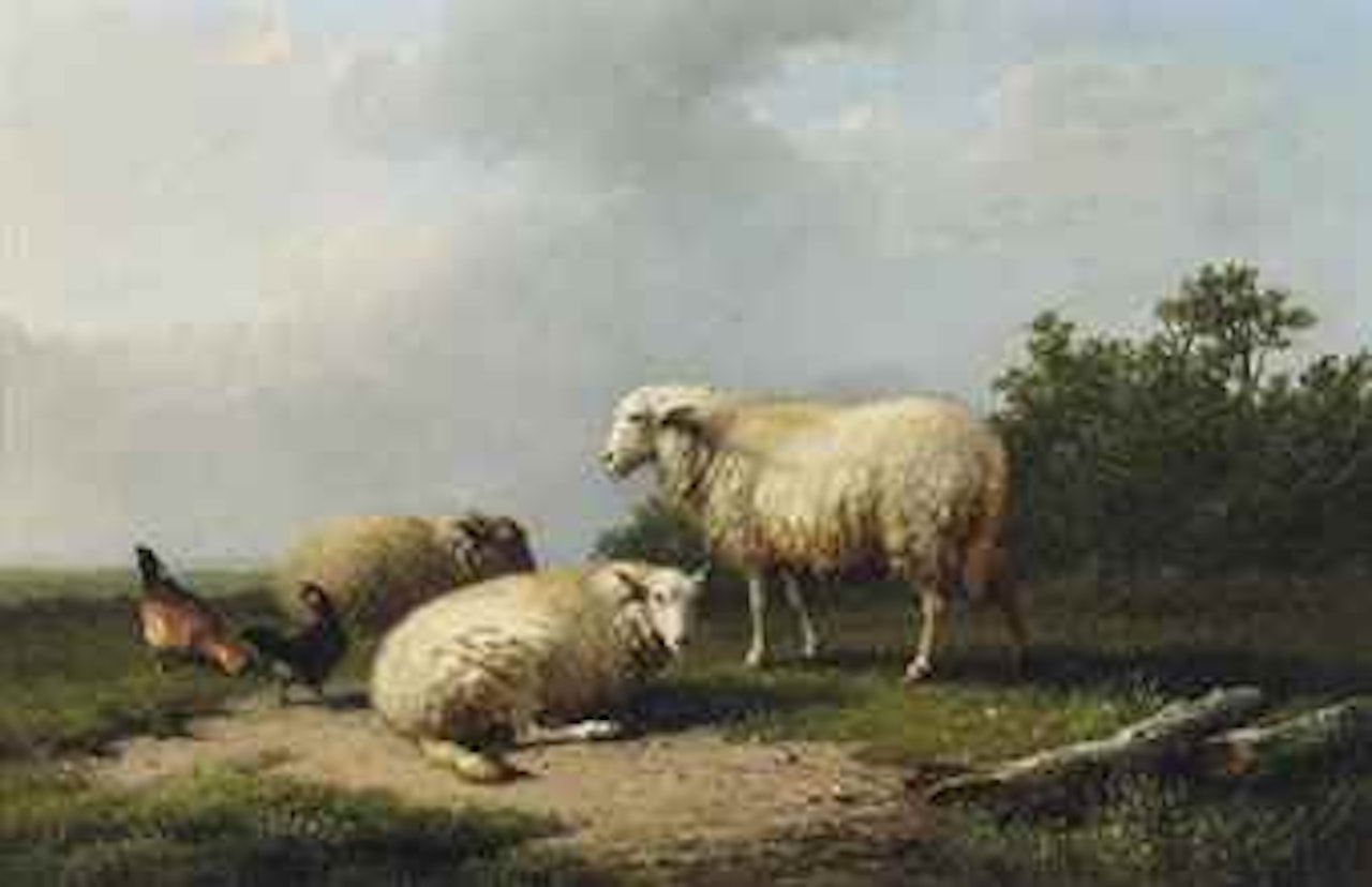 Sheep and chicken in a field by Eugène Joseph Verboeckhoven